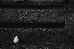 Who Left You? by TigresSinai Who Left You? by TigresSinai