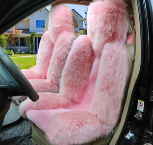 Fur trapped car