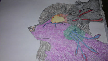 A colorful wolf .. or so