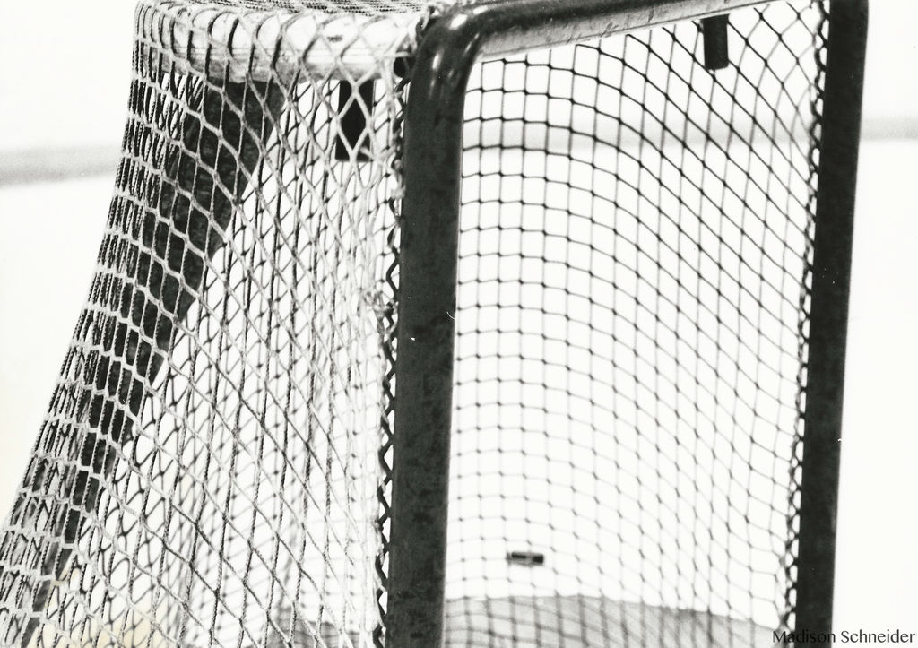 Hockey Net