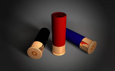 12 GAUGE - Shotgun Shell