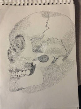 Pointillism Practice