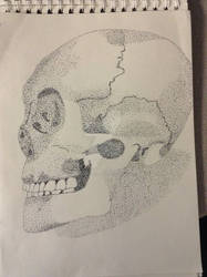 Pointillism Practice