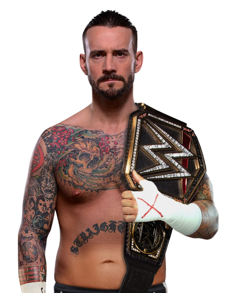 Cm top punk 2018