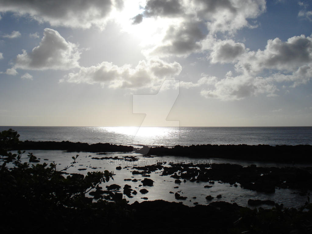 Lovely Seascape, Northshore