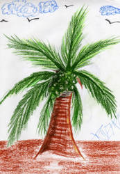 palm tree.