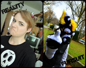 Reality vs Fursuit ID