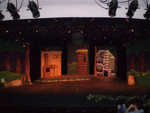 Into the Woods Summer 2008