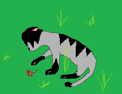 Graystripe by Thunderstar6789 on DeviantArt