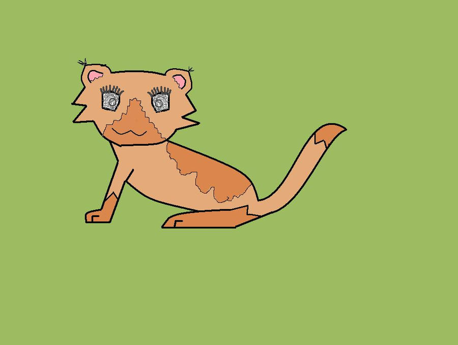 KITTEN by Thunderstar6789 on DeviantArt