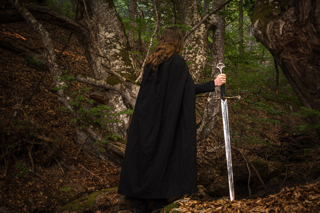 Duidain Image One of the Dunedain by TheMountainElf on DeviantArt