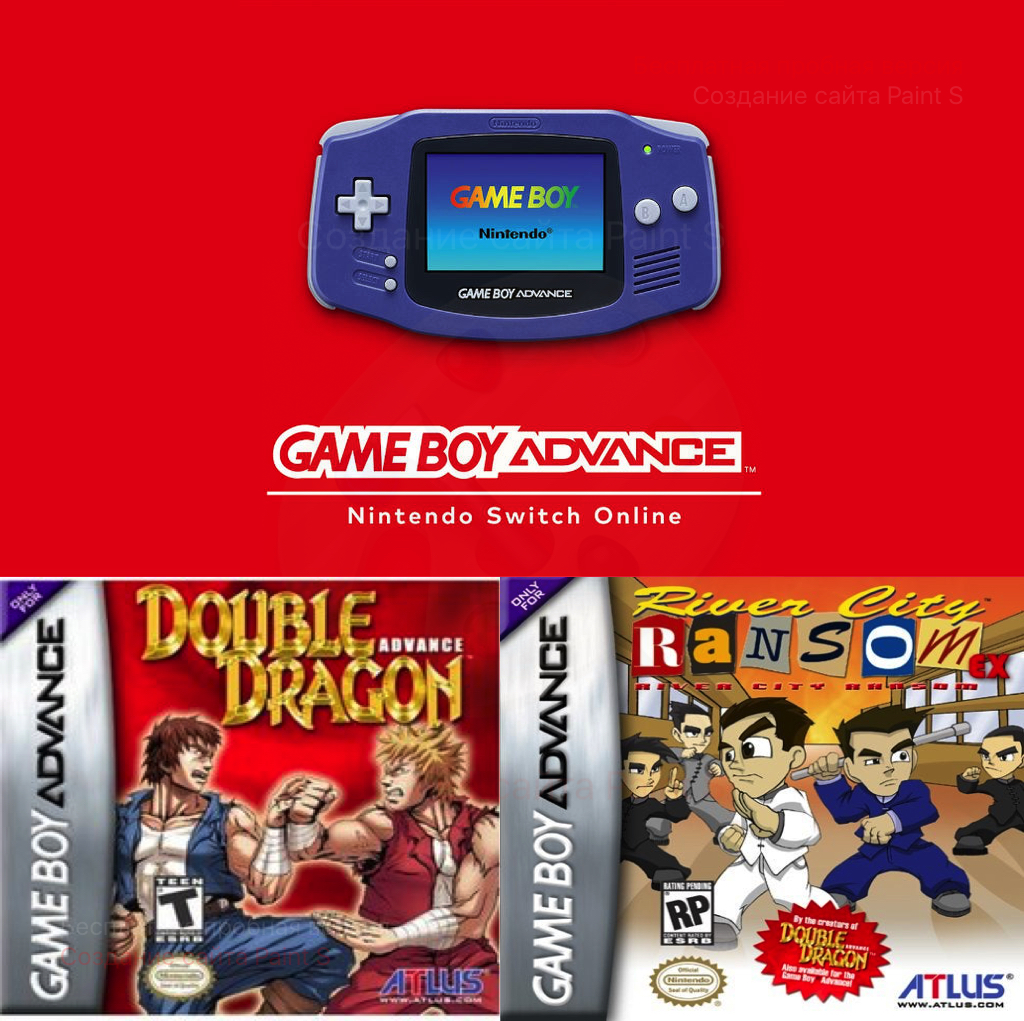  Double Dragon Advance - Game Boy Advance : Video Games