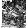Q is for Queensland Tiger