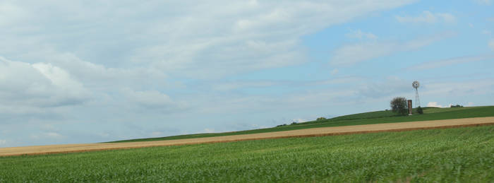 Endless Fields and Windmill