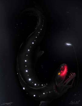 Deep Sea DragonFish