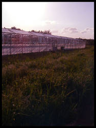 Green-houses