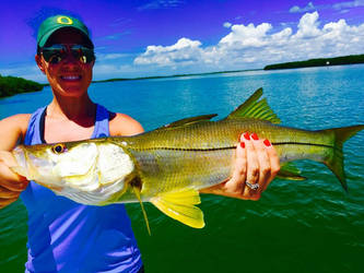 Tampa Bay Fishing