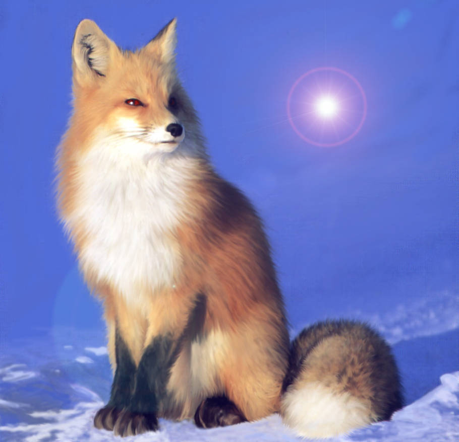 Fox Entity Arg Fox and Entity by shaatan on DeviantArt