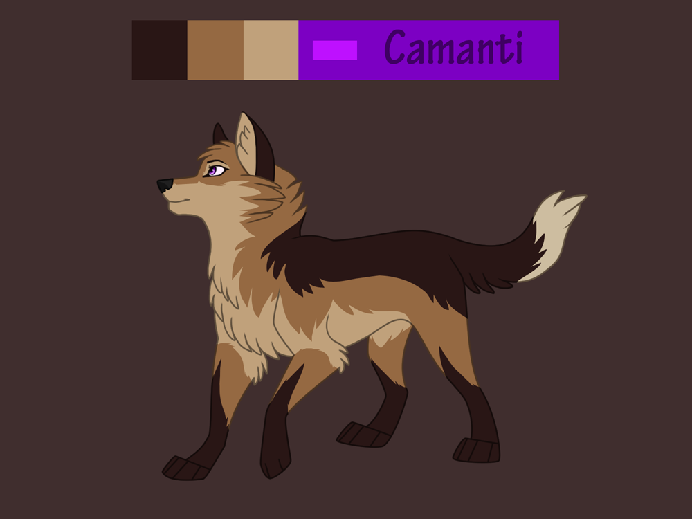 Camanti reference sheet