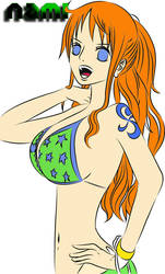 Nami Punk Hazard