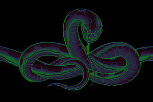 brush snake 2