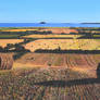 Autumnal View of Garryvoe (higher resolution)