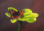 Tortoiseshell Butterfly on a Dahlia Flower by eastcorkpainter