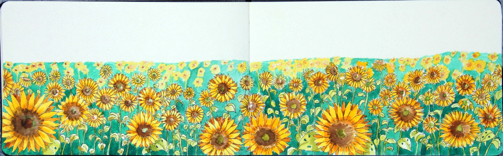 Sunflowers