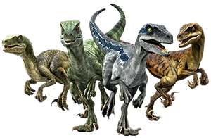 [Jurassic World] Meet the Raptors (Soft Vore)