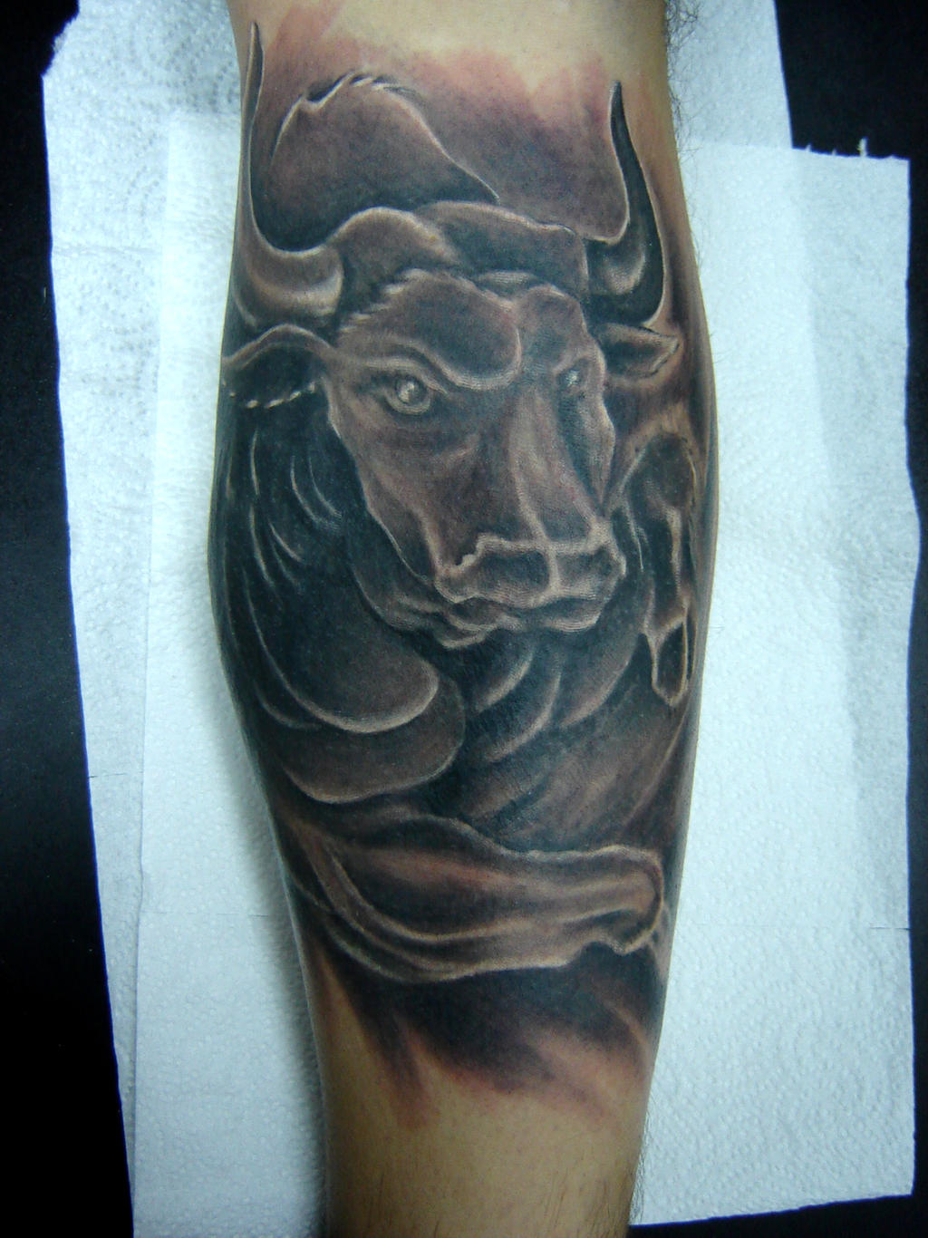 bull tattoo by slakitattoo on DeviantArt
