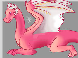 Pink Dragon