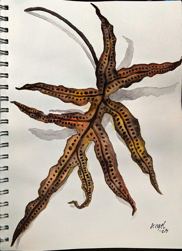 Watercolor Journal: Batik Bloom by Angel1nks on DeviantArt