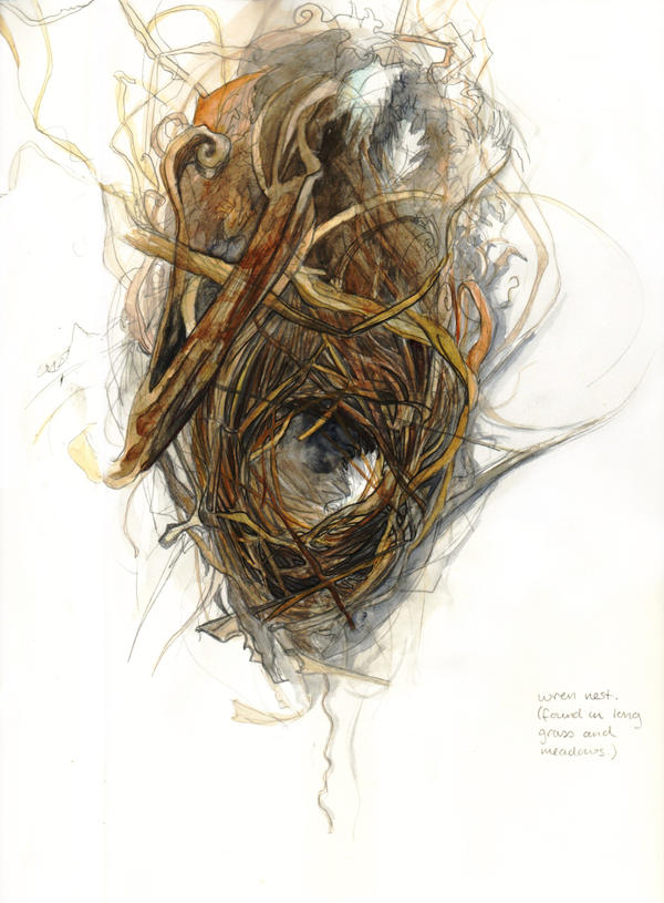 Wren Nest