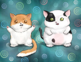 kitties xD 26/07/10