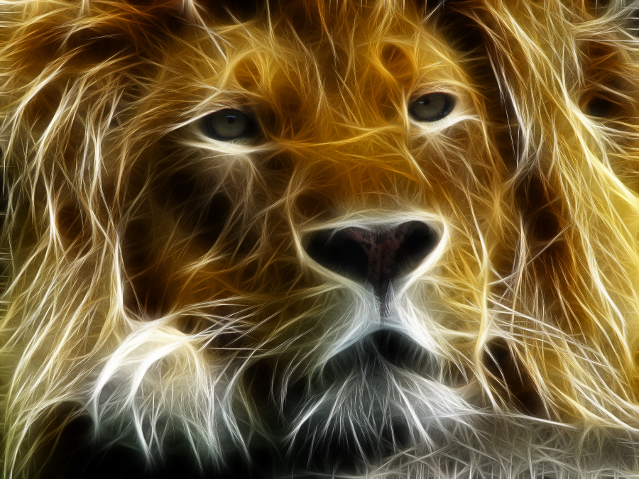 Fractalius Lion