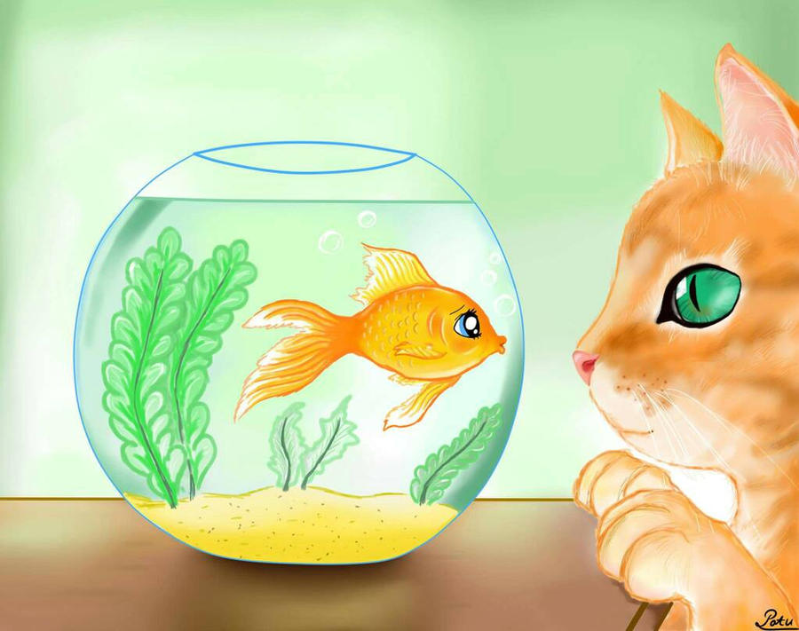 Kitty Fish KittyFish by Cytrynowa44 on DeviantArt