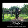 Insane Demotivational