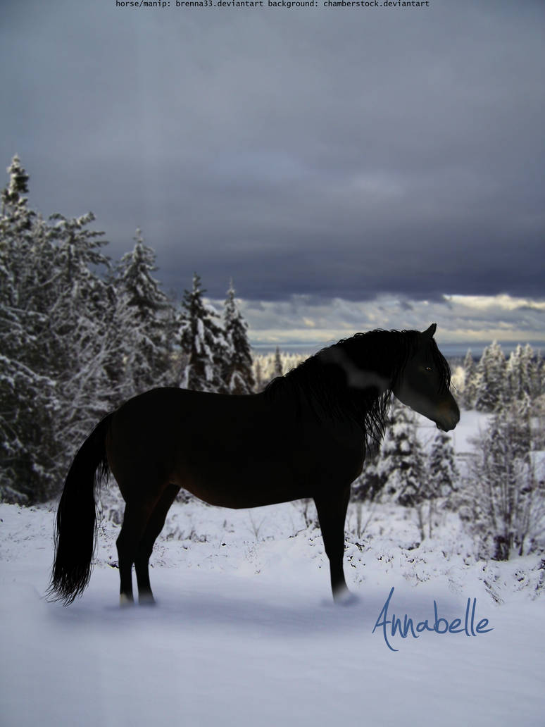 Annabelle, winter by brenna33 on DeviantArt