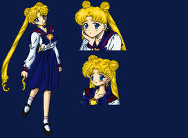 Usagi Tsukino - Juuban Profile