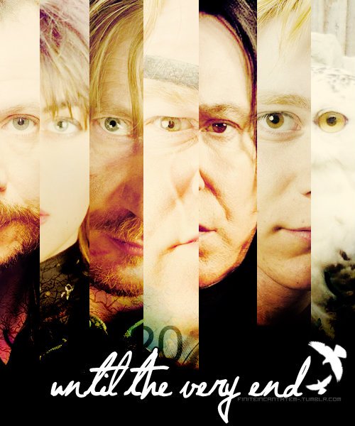 Harry Potter 7- They