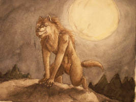 Werewolf on a rock