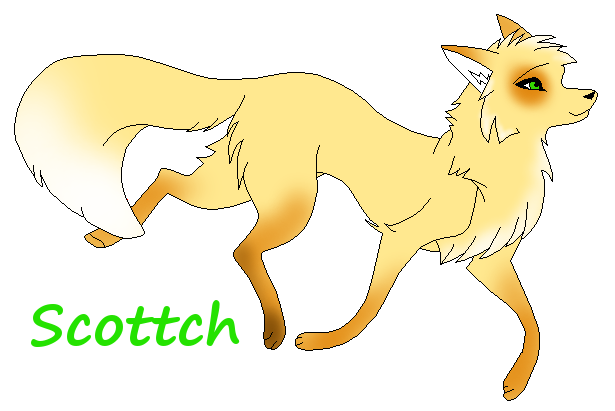 Scottch the Wolf