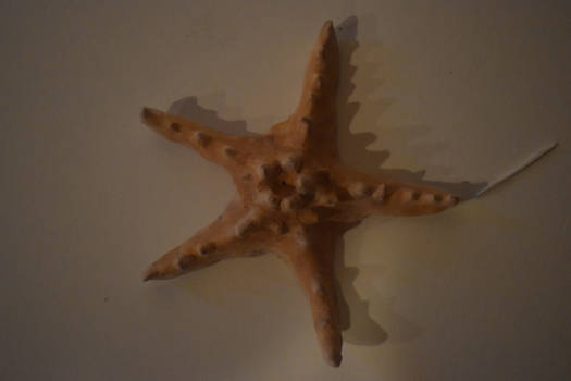 Clay Starfish