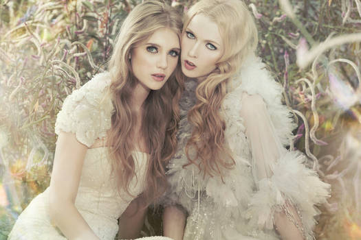 enchanted 4