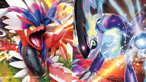 Koraidon and Miraidon in TCG