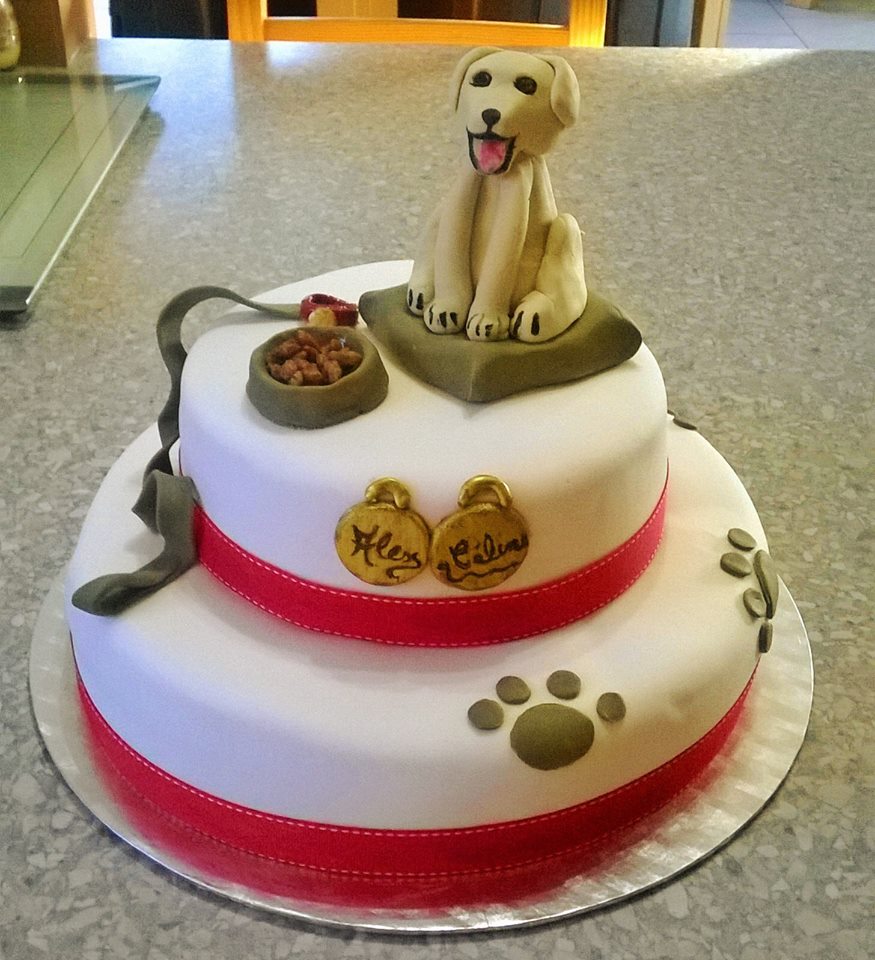 Labrador cake