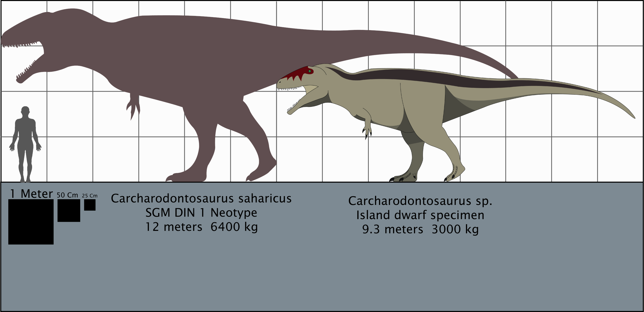 Primordial Files: Carcharodontosaurus by TraitsGameWorks on DeviantArt