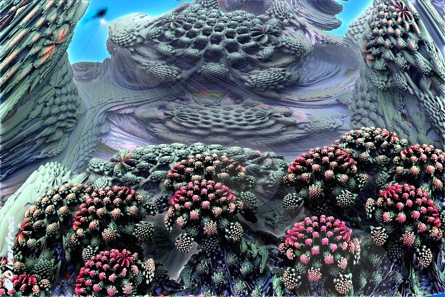 Fractal'reef by DubbleXX Fractal'reef by DubbleXX