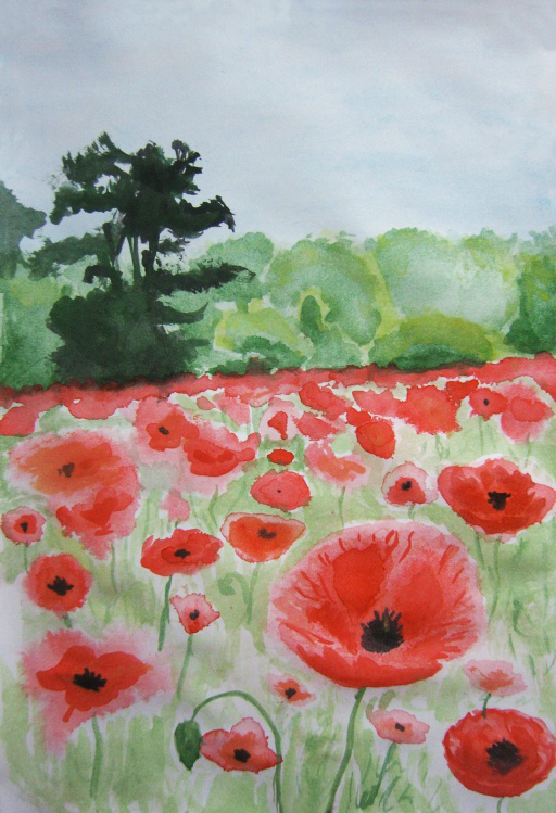 Poppies