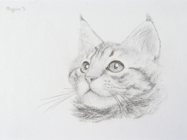 Portrait Cat II